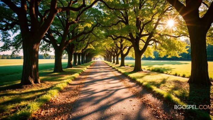 Ce que Dieu attend selon Michée 6:8