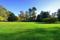A Palaiseau, «Le Monde comme jardin»