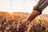 «La moisson est grande, mais il y a un peu d’ouvriers»