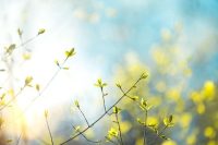 A Rocha, des chrétiens pour la nature
