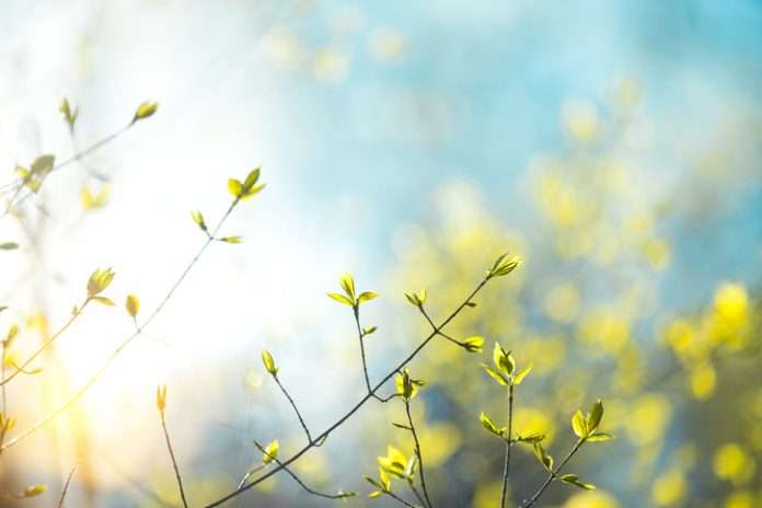 A Rocha des chrétiens pour la nature