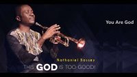 Pasteur Nathaniel Bassey, biographie