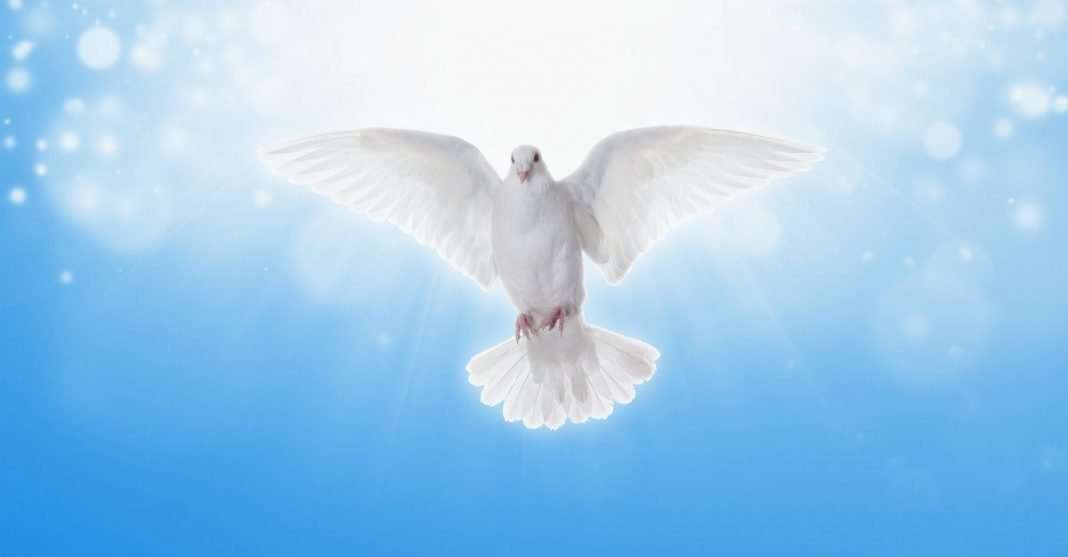 symbole pour le Saint-Esprit, Colombe