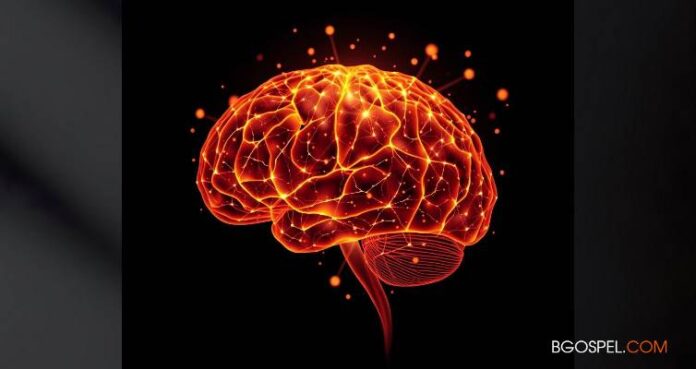 Prière et cerveau : les incroyables découvertes des neurosciences