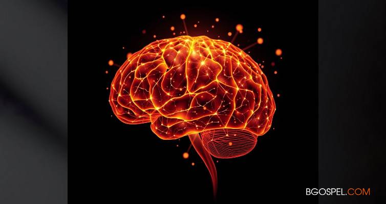 Prière et cerveau : les incroyables découvertes des neurosciences